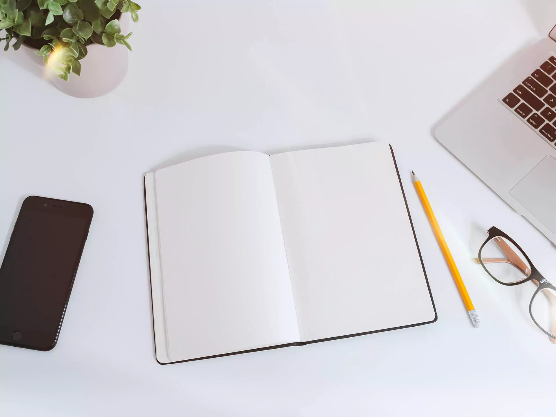 Advantage of Expert White Paper Writing Services And How They Help With Content Syndication