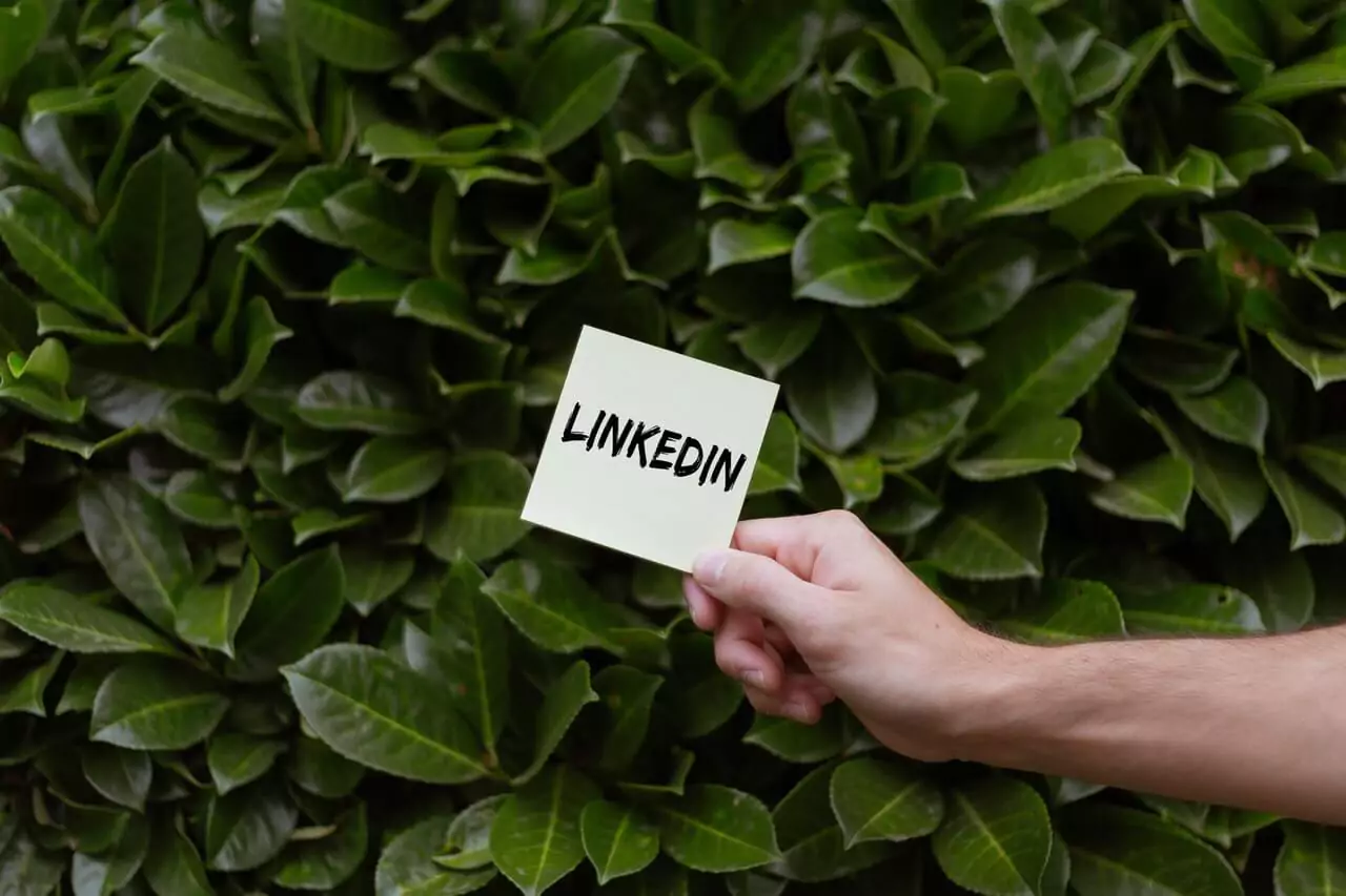 LinkedIn Is the Best Social Media Channel for Business Networking and Reaching Professional Audiences