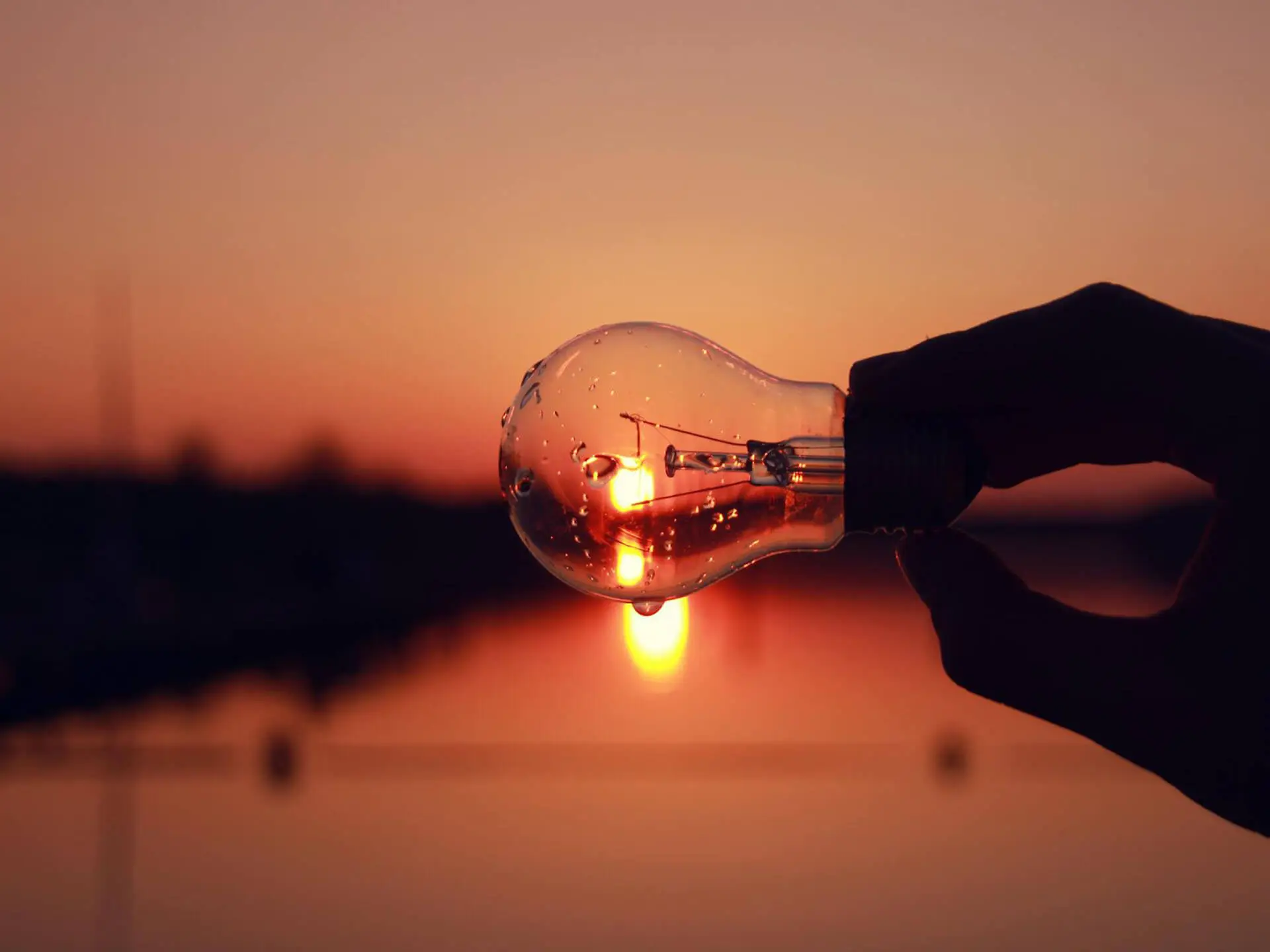 Image of a hand holding a lightbulb suggesting thought leadership.