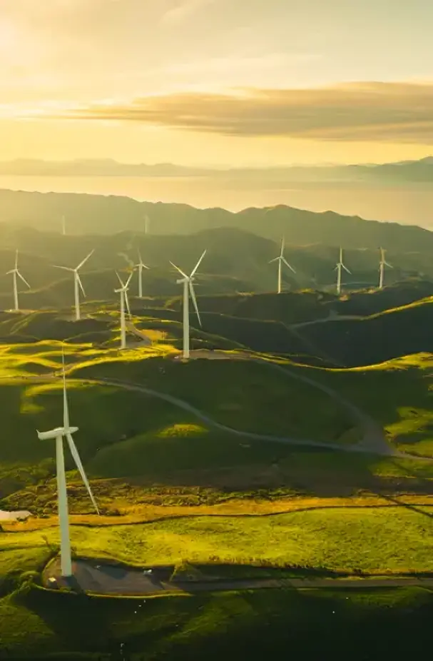 Digital marketing process illustration for tasks