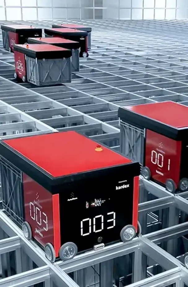 Team collaborating on project workflow